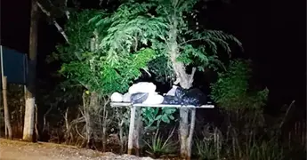 Sigue el basurero en ejidos de zona t&eacute;nek