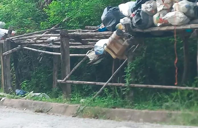 Por fin recogen la basura de zona tének