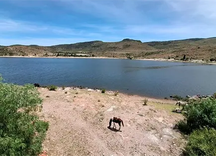 Ya investiga la Profepa pesca en presa Ya investiga la Profepa pesca en presa