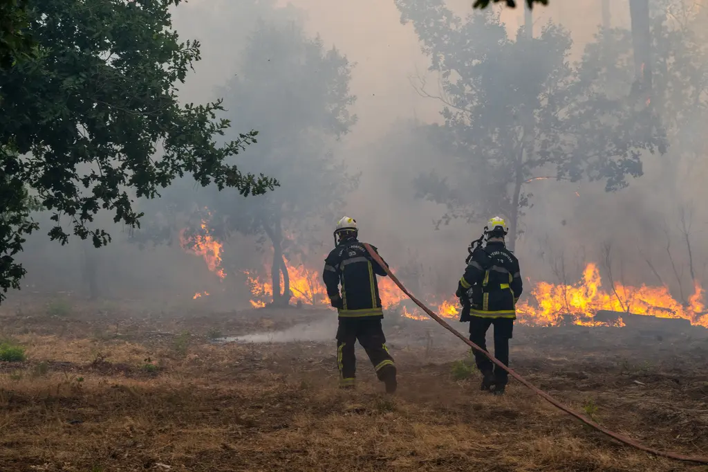 Los incendios alcanzan cifras inéditas en Francia