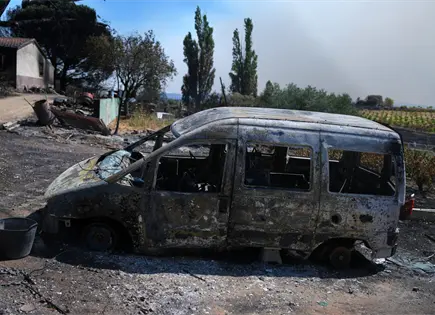 Incendios forestales en España: familias desplazadas y apoyo institucional Incendios forestales en España: familias desplazadas y apoyo institucional
