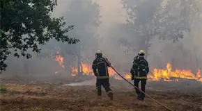 Más de 250.000 personas huyen de los incendios