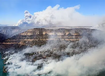 Mueren 4 bomberos en incendio forestal Mueren 4 bomberos en incendio forestal