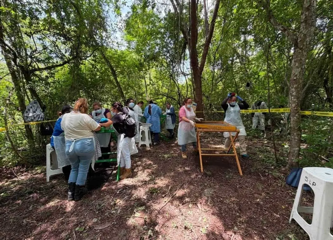 Colectivo concluye levantamiento de restos en la Sierra del Abra Tanchipa