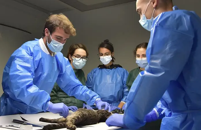 VETERINARIA FORENSE