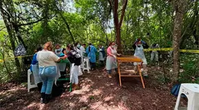 Voz y Dignidad culmina hallazgo de restos en Biosfera