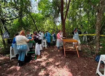 Voz y Dignidad culmina hallazgo de restos en Biosfera