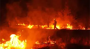 Enorme incendio forestal al oeste de Burdeos no cede