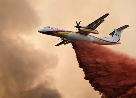 Bomberos en Francia, Gironda contin&uacute;an combate de incendio forestal