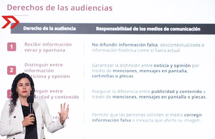 Lineamientos de audiencias de gobierno, ambiguos