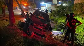 Estrellan camioneta en un poste y un &aacute;rbol