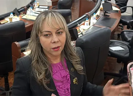 Galindo participa en el PAN como parte de la sociedad civil: Rocha Galindo participa en el PAN como parte de la sociedad civil: Rocha