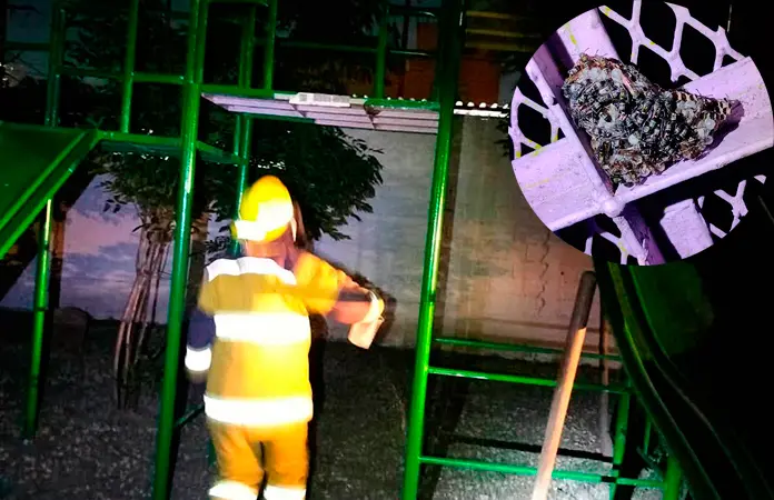Avispas atemorizan en juegos infantiles