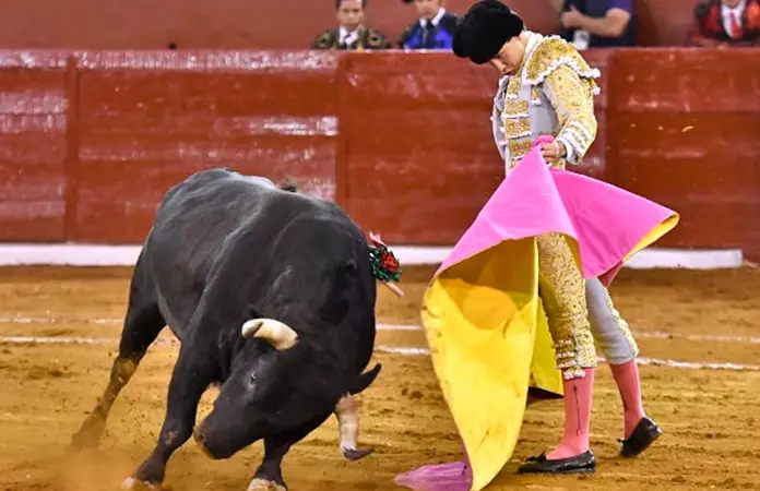 Todo listo para los viernes de toros de la Fenapo