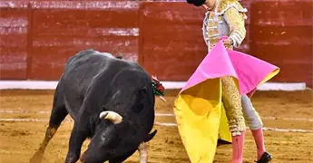 Todo listo para los viernes de toros de la Fenapo
