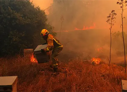 Provocar&aacute; El Ni&ntilde;o clima m&aacute;s extremo