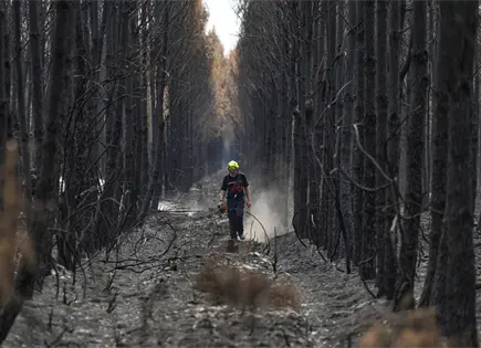 Choque de helicópteros griegos en incendio cerca de Atenas Choque de helicópteros griegos en incendio cerca de Atenas