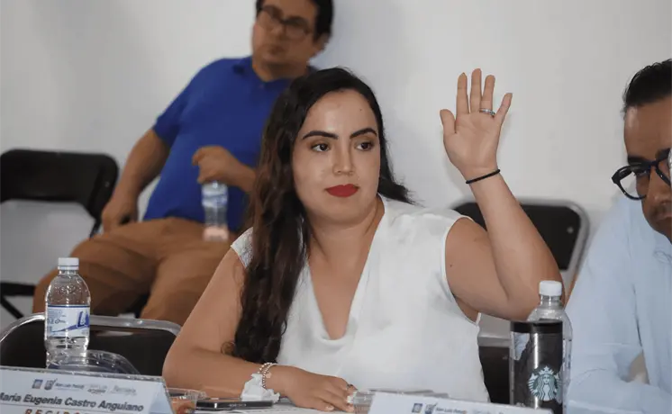 Castro Anguiano pide piso parejo en proceso interno del PAN Castro Anguiano pide piso parejo en proceso interno del PAN