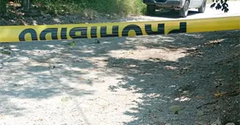Matricida tambi&eacute;n mat&oacute; varios perros