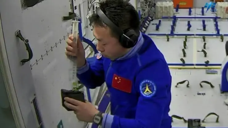 ¿Arroz cultivado en el espacio? China logra su primera cosecha