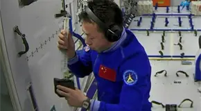 ¿Arroz cultivado en el espacio? China logra su primera cosecha