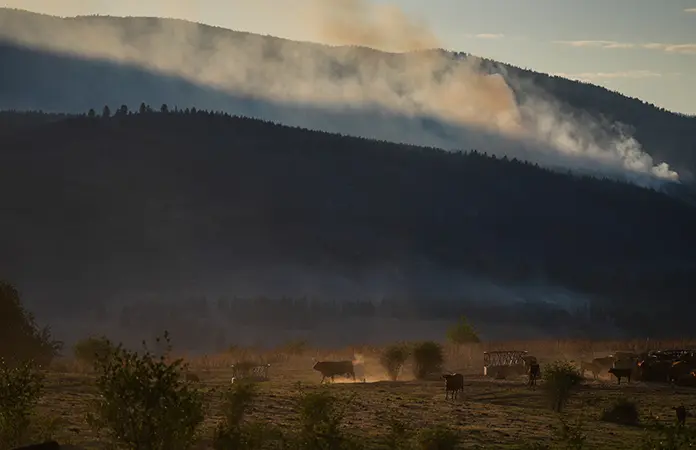 Incendio forestal destruye 230 casas al oeste de Canadá