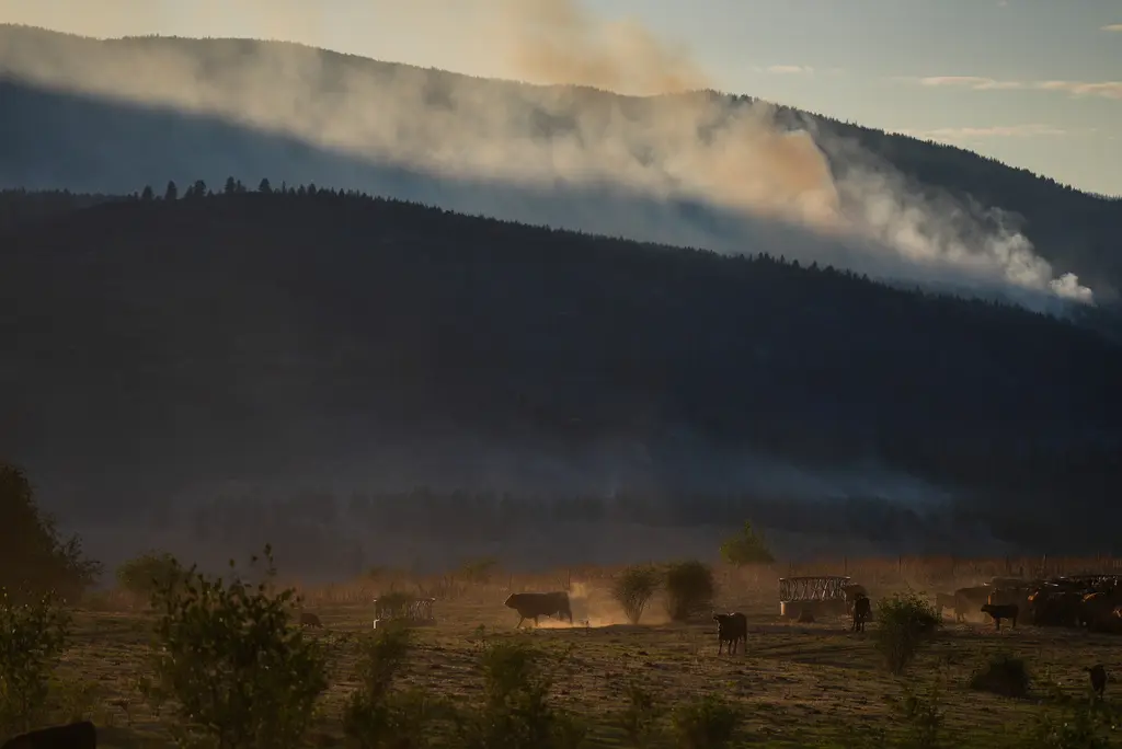 Incendio forestal destruye 230 viviendas en comunidad indígena de Columbia Británica