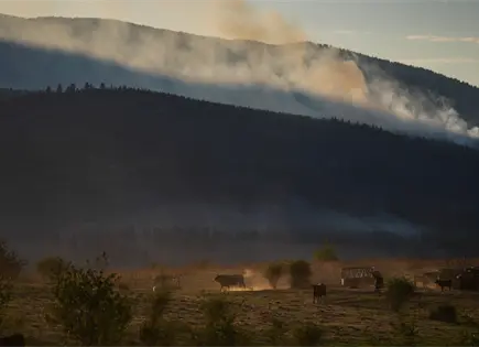 Incendio forestal destruye 230 viviendas en comunidad indígena de Columbia Británica Incendio forestal destruye 230 viviendas en comunidad indígena de Columbia Británica