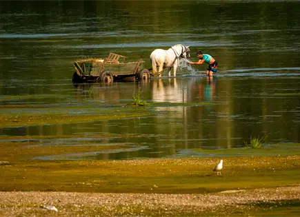 Eslovaquia y Austria registran récords históricos de calor Eslovaquia y Austria registran récords históricos de calor