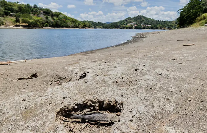 Puerto Rico racionará el agua por la sequía