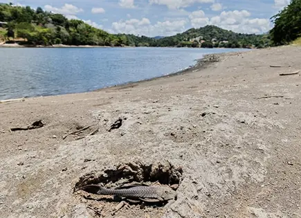 Puerto Rico racionará el agua por la sequía Puerto Rico racionará el agua por la sequía
