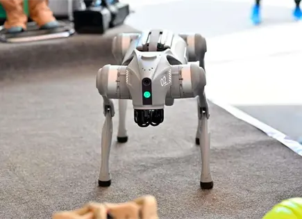 Estrena SLP cuatro perros robot para tareas de vigilancia Estrena SLP cuatro perros robot para tareas de vigilancia
