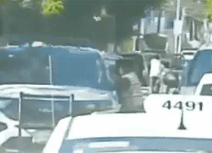 FGE investiga de oficio a policías captados en la Santa Fe FGE investiga de oficio a policías captados en la Santa Fe