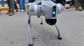 Con canes robotizados buscan proteger a polic&iacute;as en riesgo