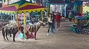 Tras agresi&oacute;n, exigen prohibir carrusel de ponis en Santa Mar&iacute;a