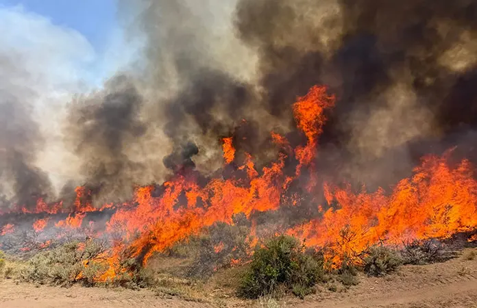 Se estrella helicóptero que combatía incendio