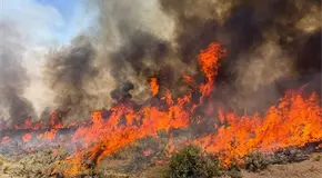 Se estrella helic&oacute;ptero que combat&iacute;a incendio