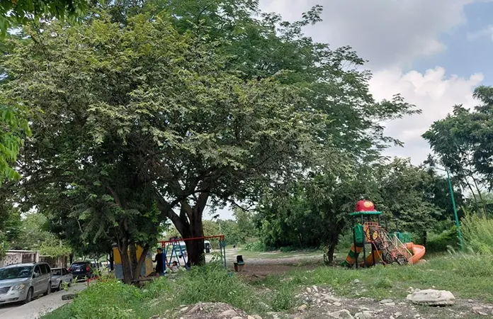 Pavimentan calle, pero dañan áreas verdes y juegos infantiles