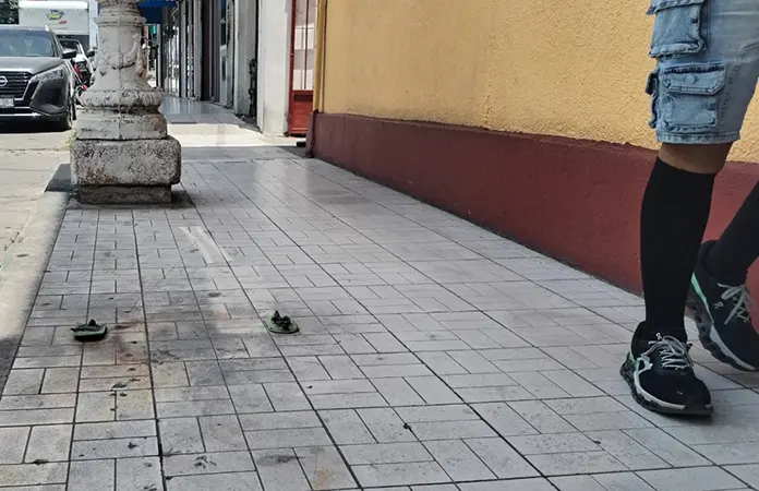 Peatones piden retirar los restos de basureros de las banquetas