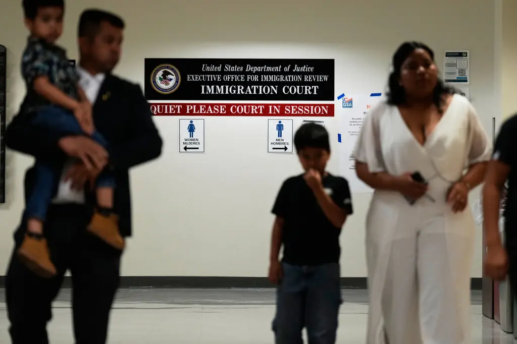 Programa envía abogados voluntarios a tribunales de inmigración en California