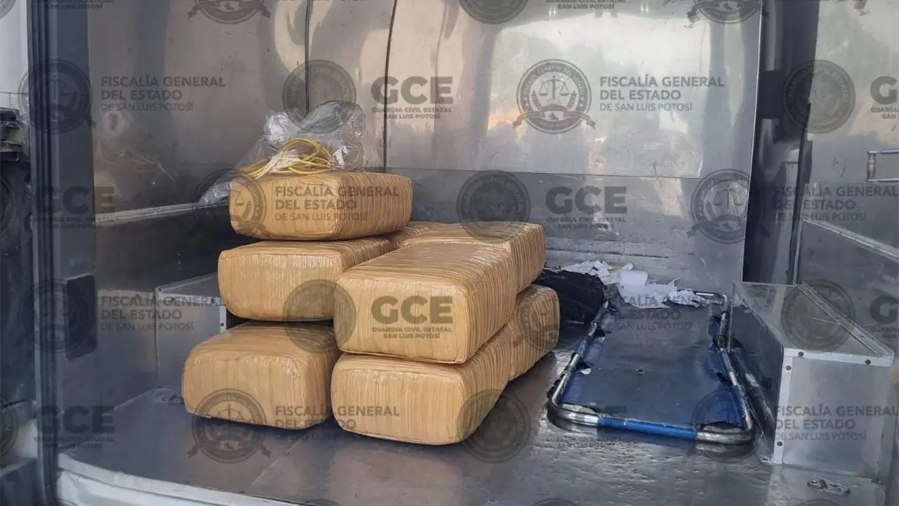 Revientan casa en El Sauzalito con 80 kilos de marihuana