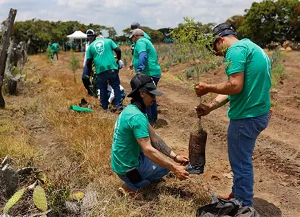 Siembra masiva de árboles en Jalisco Siembra masiva de árboles en Jalisco