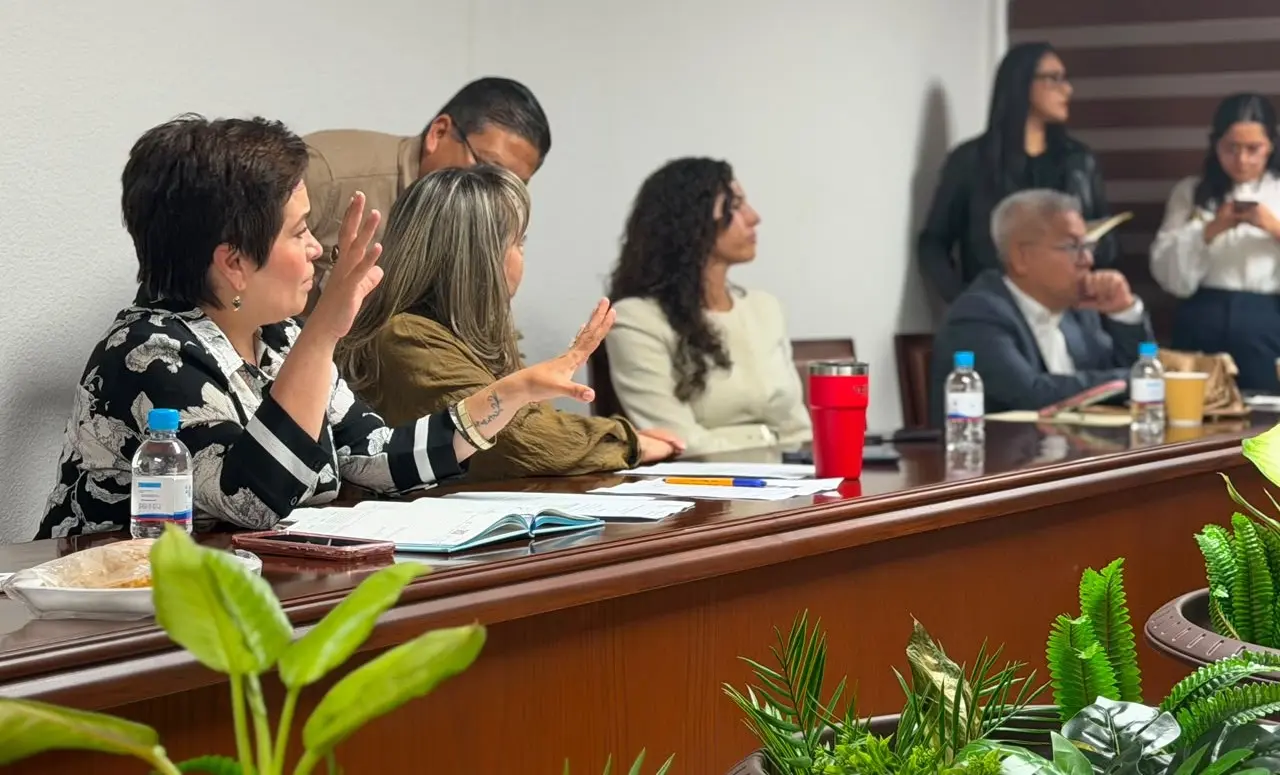 La Comisión de Puntos Constitucionales/Foto: Pulso