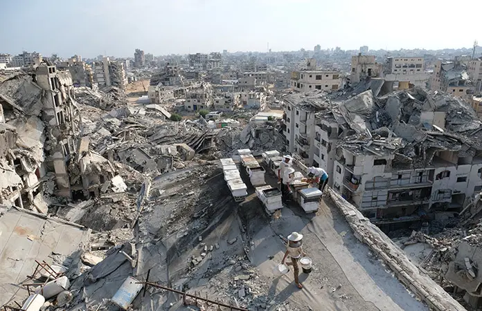Hamás respalda plan para Gaza