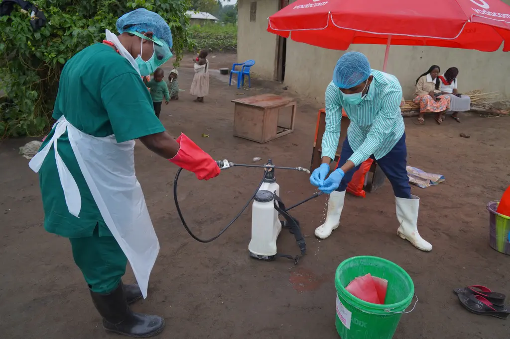 OMS: Brote de ébola de rápida propagación en el Congo empezó meses antes de declararse