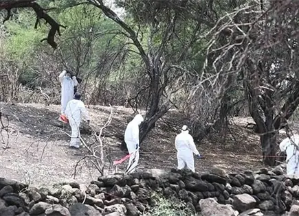 Piden identificar indicios en fosas Piden identificar indicios en fosas