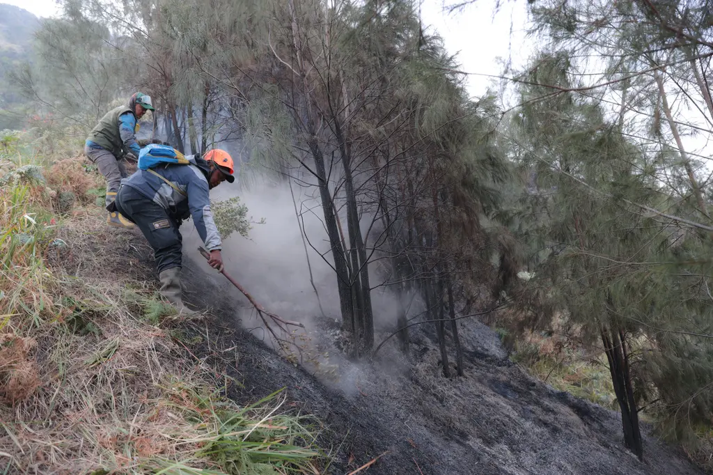 Incendio en monte Bromo afecta parque nacional y obliga a cerrar escuelas en Indonesia
