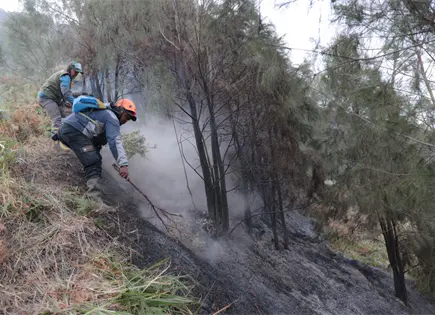 Incendio en monte Bromo afecta parque nacional y obliga a cerrar escuelas en Indonesia Incendio en monte Bromo afecta parque nacional y obliga a cerrar escuelas en Indonesia