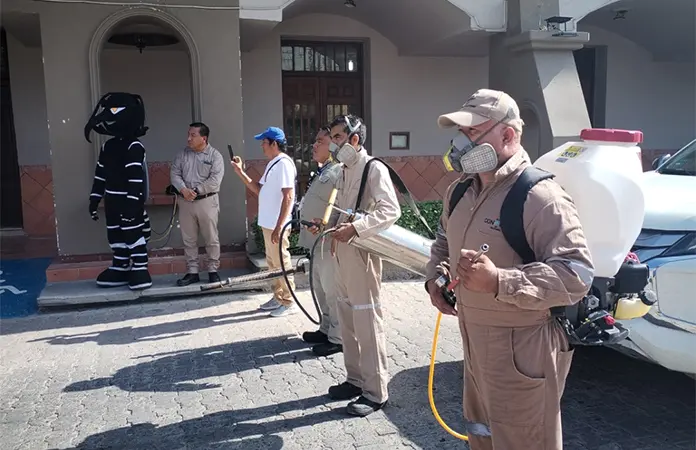 Semana de saneamiento para eliminar mosquitos