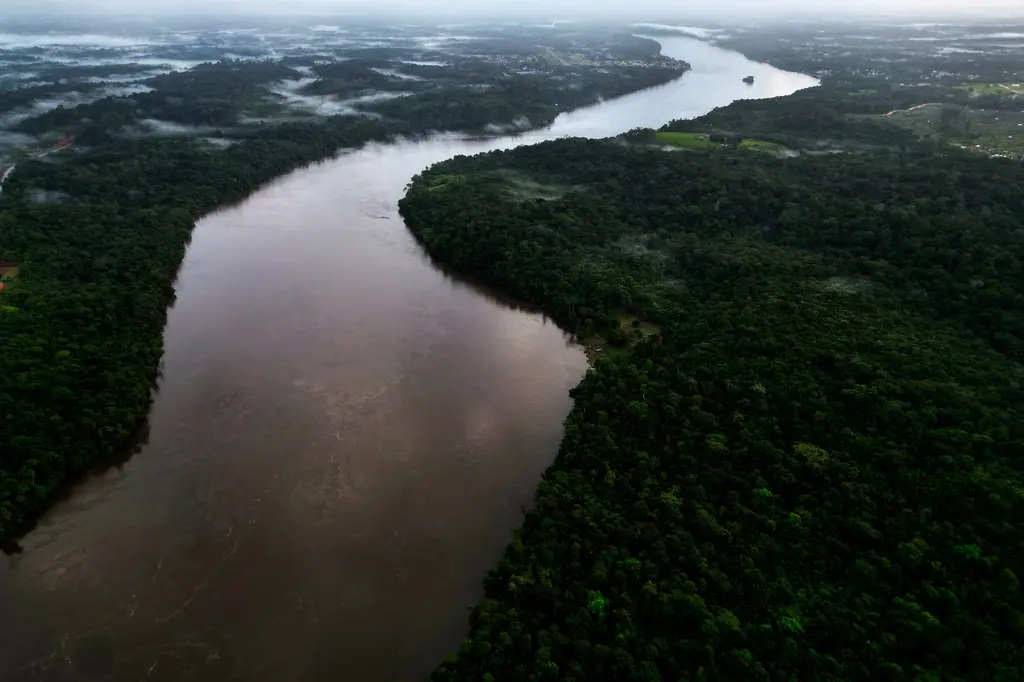 Supremo Tribunal Federal revisa casos clave sobre Amazonía y tierras indígenas